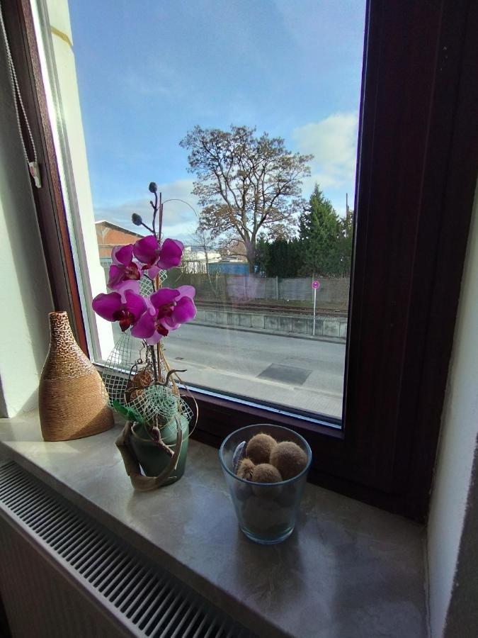 Apartamento Sunny Side Kiel Exterior foto